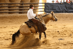 Rooster For Me Quarter Horse lignée reining