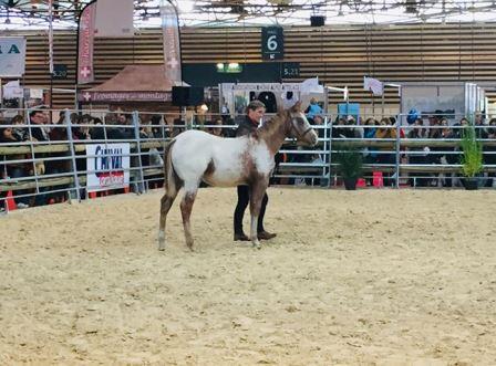 45447458_911170749271400_347085382455656448_n1