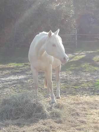 55853657_1722464044566341_7381999151946399744_n[2]