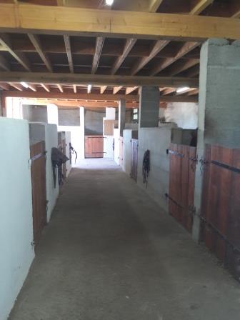 Photos écurie intérieure Elevage de Kassy