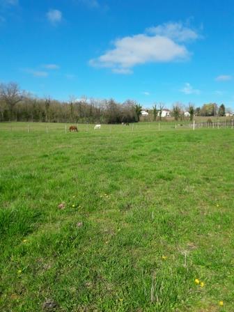 Photos prés élevage de Kassy